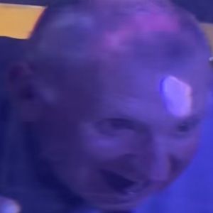 Meet your Posher, Pato